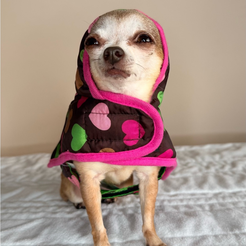 XS Heart Puffer Dog Coat 🩷💚